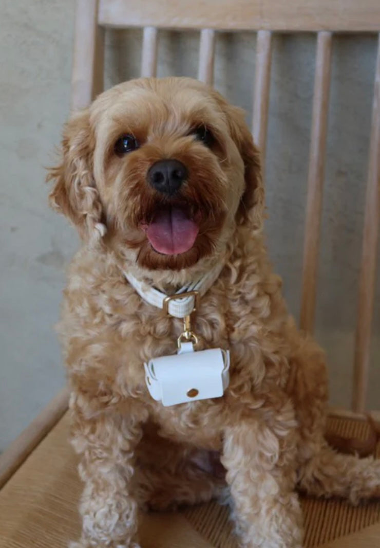Personalised Wedding Ring Bearer Pouch for Dogs | Wedding Ring Box for Dog Collars | Personalised Wedding Ring Holder for Pet Ring Bearer