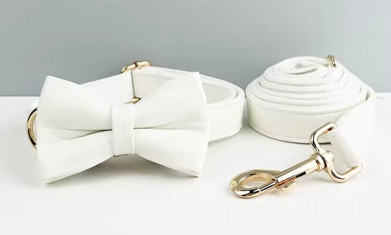 White Faux Leather Wedding Dog Collar & Lead Set Wedding Dog Harness Engraved Metal Clasp. Personalised. Dog Wedding Bow. Dog Wedding Guest