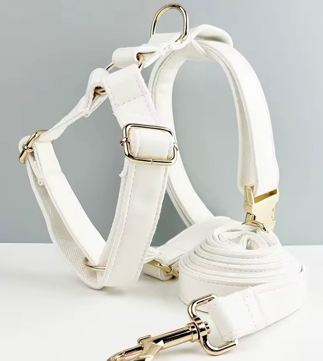 White Faux Leather Wedding Dog Collar & Lead Set Wedding Dog Harness  Engraved Metal Clasp. Personalised. Dog Wedding Bow. Dog Wedding Guest
